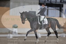 ref. photo 3380607