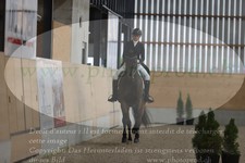 ref. photo 3380662
