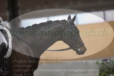 ref. photo 3380689
