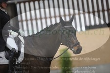 ref. photo 3380690