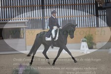 ref. photo 3380698
