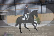 ref. photo 3380710