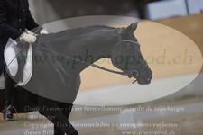 ref. photo 3380715