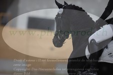 ref. photo 3380768