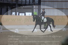ref. photo 3380771