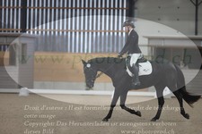 ref. photo 3380773