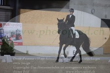 ref. photo 3380779
