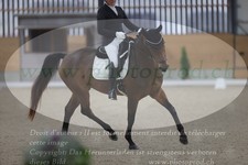 ref. photo 3380999
