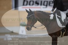 ref. photo 3381021