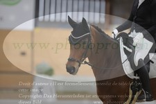 ref. photo 3381022