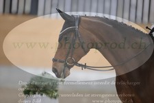 ref. photo 3381023