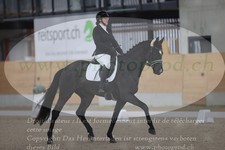 ref. photo 3381040