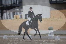 ref. photo 3381044