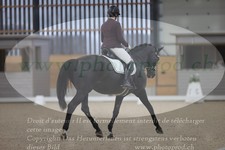 ref. photo 3381060