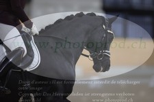ref. photo 3381064