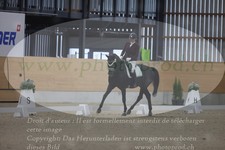 ref. photo 3381071