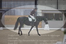 ref. photo 3381087