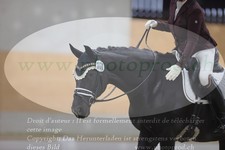 ref. photo 3381092