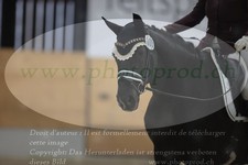 ref. photo 3381094