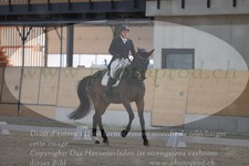 ref. photo 3381095