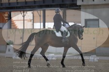 ref. photo 3381102