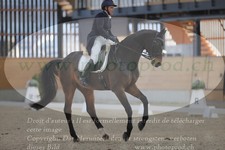 ref. photo 3381112