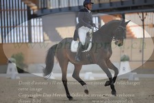 ref. photo 3381116