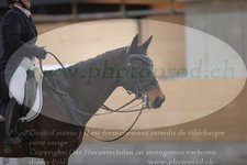 ref. photo 3381121