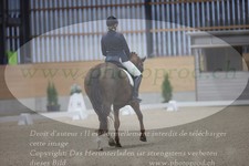 ref. photo 3381125