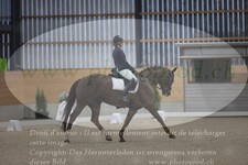 ref. photo 3381127