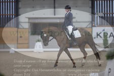 ref. photo 3381129