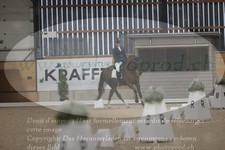 ref. photo 3381132