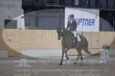 ref. photo 3381134