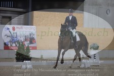 ref. photo 3381136