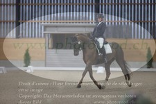 ref. photo 3381140