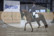 ref. photo 3381143