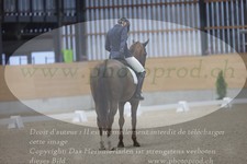 ref. photo 3381146