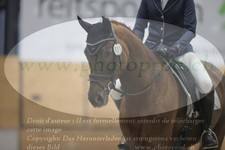 ref. photo 3381150
