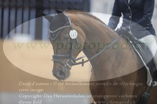 ref. photo 3381151