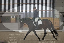 ref. photo 3381160