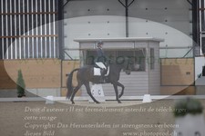ref. photo 3381162