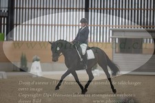 ref. photo 3381171