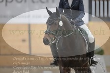 ref. photo 3381181