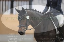 ref. photo 3381182