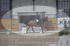 ref. photo 3381184