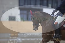 ref. photo 3381185