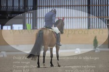 ref. photo 3381187