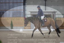 ref. photo 3381190