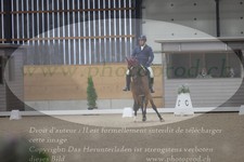 ref. photo 3381191