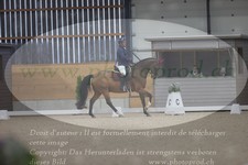 ref. photo 3381193